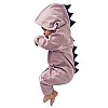 Kinderkleidung EUZeo Neugeborener Baby Junge Mädchen Dinosaurier stattet mit Kapuze Spielanzug Overall Kleidung aus(0-24Monate) (60, Pink)