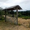  Brasilien 87.5 Ha Grundstück mit Früchte-Pflanzung in der Nähe von Manaus 