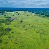 Brasilien riesengrosses 3'000 Ha Tiefpreis - Grundstück mit Rohstoffen in der Nähe der Erdoel - Erdgas - Gold - Stadt Silves