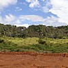 Brasilien 1'000 Hektar grosses Tiefpreis - Grundstück mit Rohstoffen in der Nähe der Öl-, Erdgas- und Goldstadt Silves AM