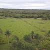Brasilien 1'000 Ha Tiefpreis - Grundstück mit Rohstoffen Region Presidente Figueiredo AM