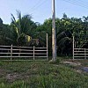 Brasilien grosses 46.6 Ha Tiefpreis - Grundstück in der Nähe von Manaus AM