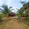  Brasilien 50 Ha Tiefpreis-Grundstück in der Nähe von Manaus - Autazes AM