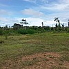 Brasilien 16 Ha Grundstück mit Früchte-Pflanzung in der Nähe von Manaus AM