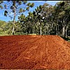  Brasilien 145'198 Ha grosses Grundstück mit Privatsee (Goldvorkommen in der Region) bei - Novo Aripuana AM